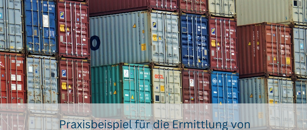 Praxisbeispiel-Zoll-Import-Maßnahmen