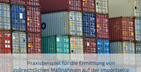 Praxisbeispiel-Zoll-Import-Maßnahmen