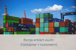 Ein Bild mit Zollcontainern