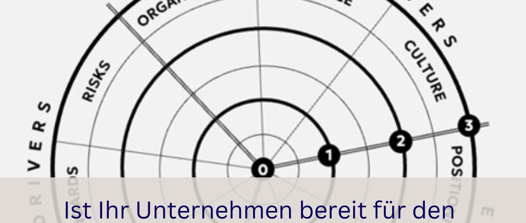 iagramm des „International Growth Readiness Radar“ – Darstellung der Unternehmensreife für Internationalisierung mit Bewertungsstufen von 0 bis 3 und Radar-Grafik zu internen und externen Treibern wie Organisation, Finanzen, Kultur, Marktpositionierung und rechtlichen Standards.